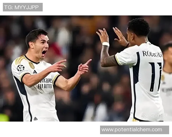 足球明星马洛卡的职业生涯与成就揭秘及其在足球界的影响力分析