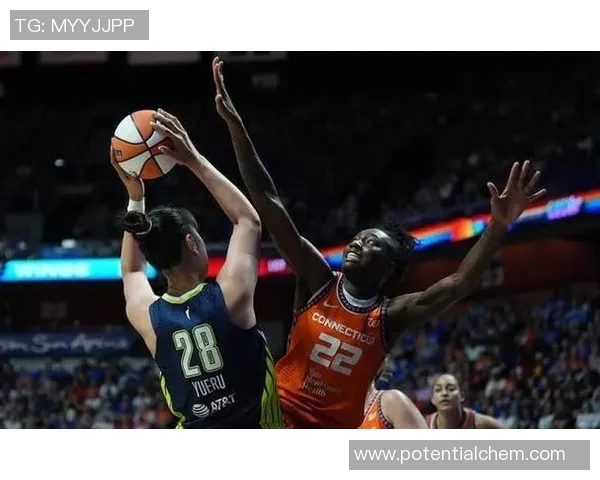 不想打篮球的明星是谁揭秘他们的运动偏好与生活态度